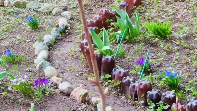☘️1376☘️ Сегодня прохладно 🍃🪻🍃подснежники 🍃прол смотреть онлайн