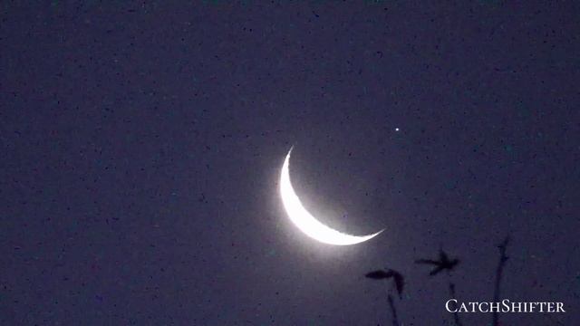 Occultation Spica Moon 11.27.2024 By CatchShifter
