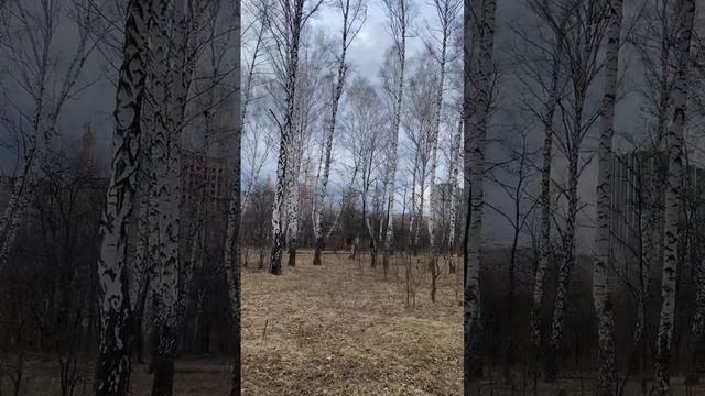 Картавцев Андрей - Белые берёзы смотреть онлайн