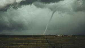 Мощный смерч уничтожил часть леса в российском регионе