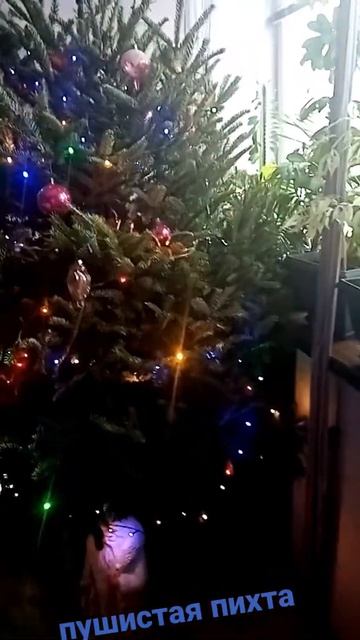 наряженая пихта 🍾 New Year fir смотреть онлайн