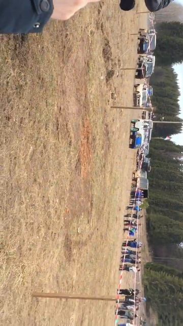 Старт категории стандарт. Ухаб очер 2017.