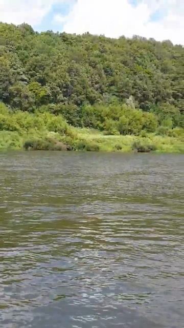 река Дон. Место для души смотреть онлайн