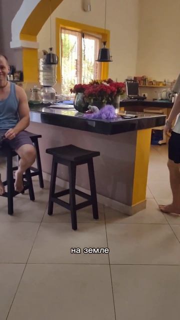 Тусовка в день рождение 😅 #индия #история #традиции смотреть онлайн