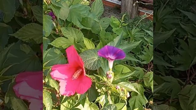 7 июля 2024 г. смотреть онлайн