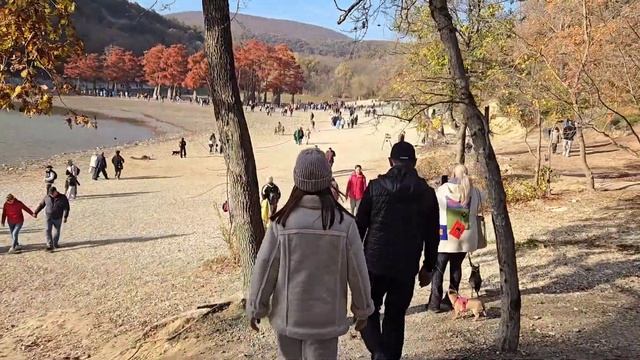 Выходной в Сукко. Озеро с кипарисами. смотреть онлайн