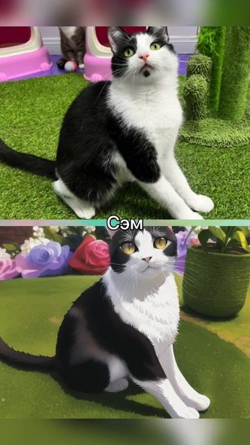 как бы выглядели коты в аниме смотреть онлайн