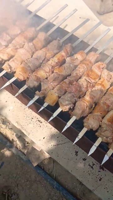 Шашлык, Ташаул. Ташобласть Юкоричирчикский район Узбе