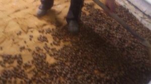 В мае - маемся... заливаем полы - рассыпаем керамзит...