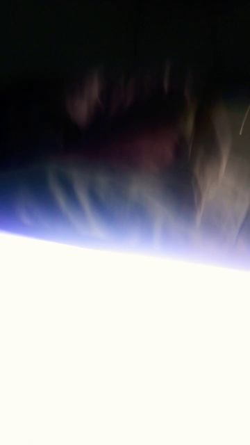 не забудь какой любимый цветок мем в подарок от мамы и смотреть онлайн