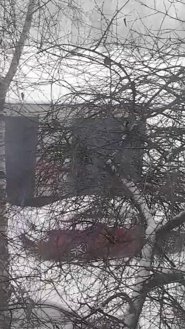 Россия- вот где есть сила💪 смотреть онлайн