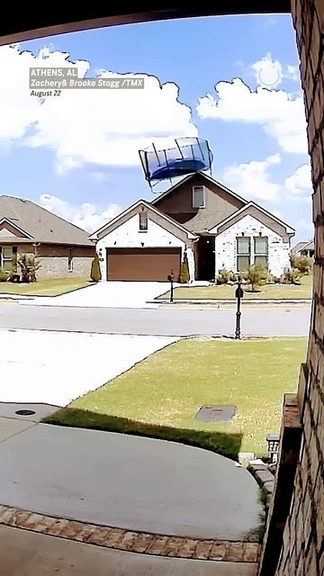 Ржу не могу остановиться 🤣🤣🤣🤣🤣🤣🤣🤣🤣🤣🤣🤣🤣? смотреть онлайн