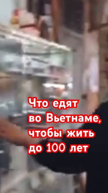 Что едят во Вьетнаме чтобы жить 100 лет #vietnam #asia #mango #100 #в смотреть онлайн