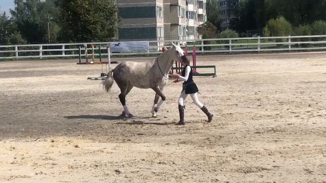 ||LIBERTY SHOW|| - Показательное выступление смотреть онлайн