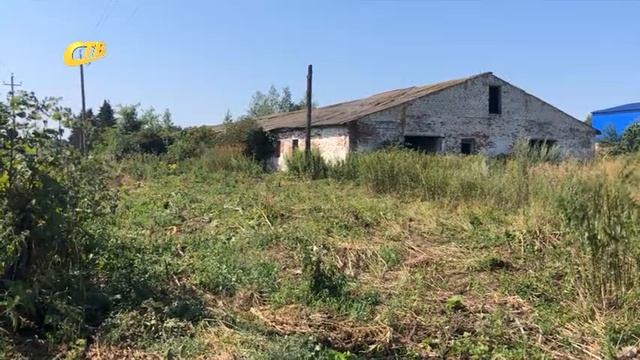 В ЖЕЛЕЗНОГОРСКОМ РАЙОНЕ ВЕДУТ БОРЬБУ С БОРЩЕВИКОМ смотреть онлайн