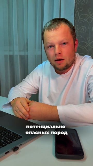 новые штрафы за выгул собак без намордников, но это ка? смотреть онлайн