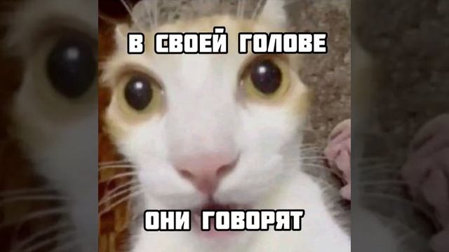 Я больной... бебебе смотреть онлайн