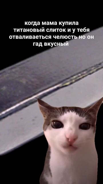 #кот#хруст#челюсть#титан