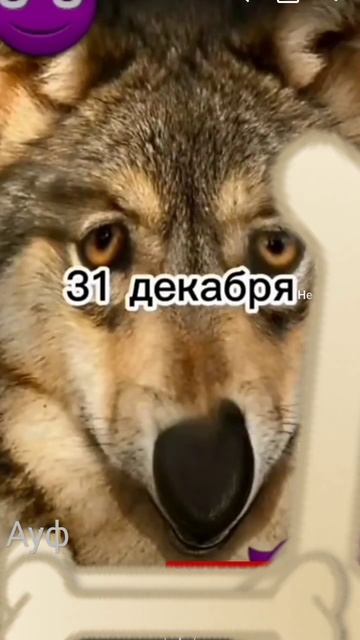 брат если покушать 31 декабря то. смотреть онлайн