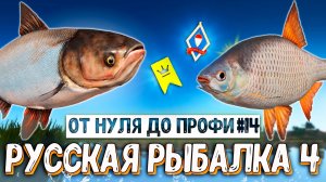 RF4 ФАРМ СЕРЫ, ЛОВЛЯ ТРОФОВ, ТРОЛЛИНГ, КАРПФИШИНГ, ПОКУПКА СНАСТЕЙ, ПЛАНЫ #рр4