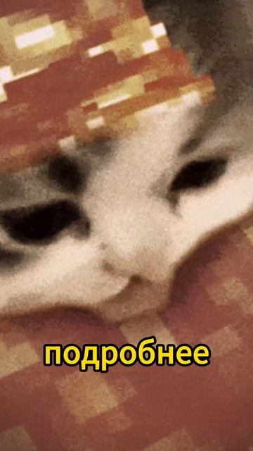 Как узнать сколько заработали Яндекс Еда? #яндекс #дос? смотреть онлайн