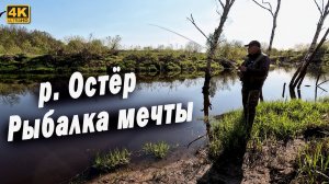Река Остёр. Рыбалка мечты