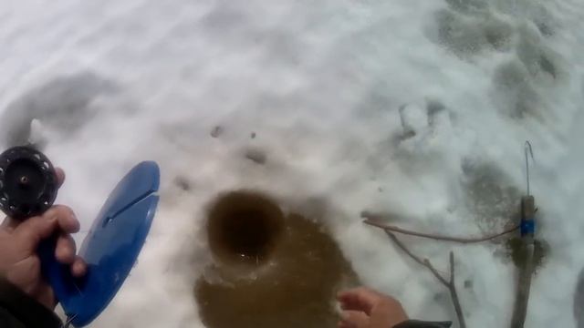 На р.Обь. Жерлицы. №202. смотреть онлайн