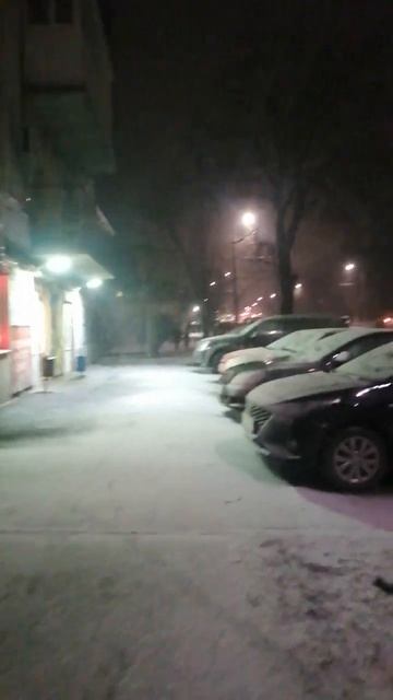 Крупный снег в Ростове-на-Дону.