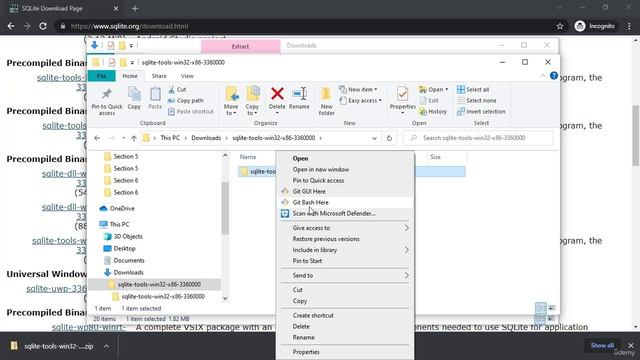 5. FastAPI Project Installation of SQLite3 Terminal (Windows) смотреть онлайн
