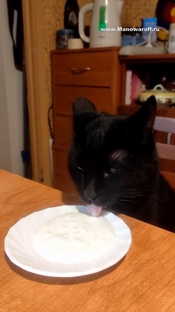 Я люблю кушать - а остальное уже не важно смотреть онлайн