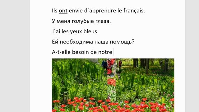 Тренируемся изменять глаголы être, avoir, faire, aller в настоящ смотреть онлайн