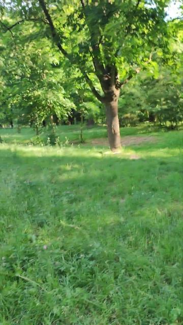 Астра у яскравій зелені та цифра 9. смотреть онлайн