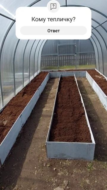 Сделал теплицу(парник) #теплица #парник #грядки #сад #ог смотреть онлайн