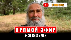 Прямой эфир 11 мая 2025