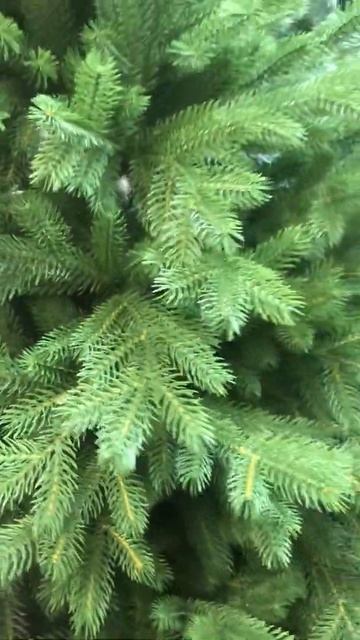 Ель искусственная Версальская смотреть онлайн