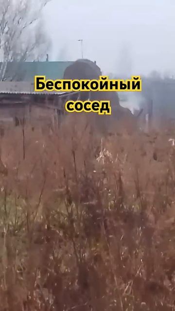 А кого тоже есть беспокойный сосед смотреть онлайн