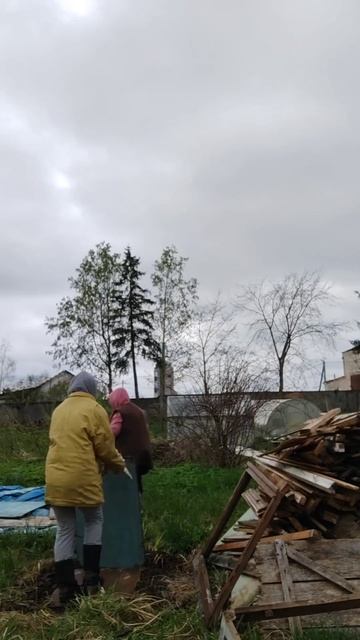 Подготавливаем место для курятника🐔🙏 #дача #любимое смотреть онлайн