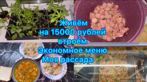 Живём на минималку . Экономное меню #экономноеменю #живёмнаминималку