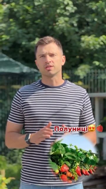 #найнижчаціна #клубніка #гортензия #агролендінг #агро? смотреть онлайн