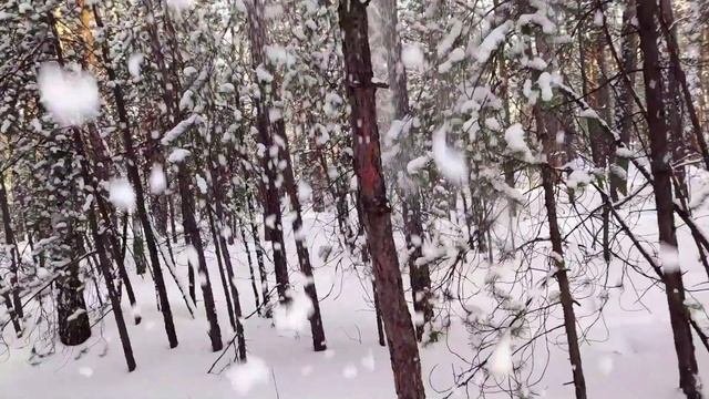 DJ. Челябинский парк искристый белый пушистый снег 01 03 2 смотреть онлайн