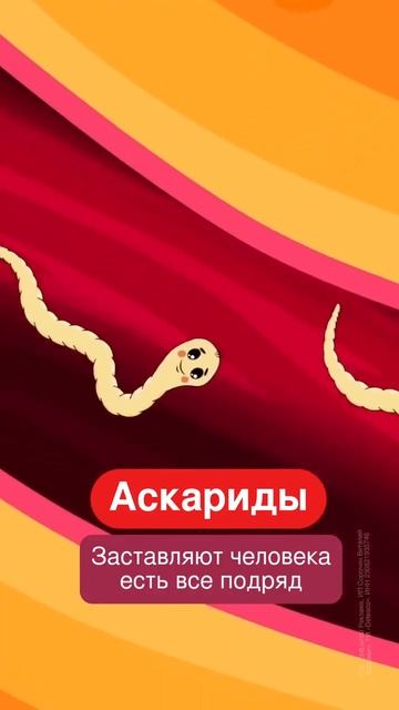 Паразиты меняют наши вкусовые привычки смотреть онлайн