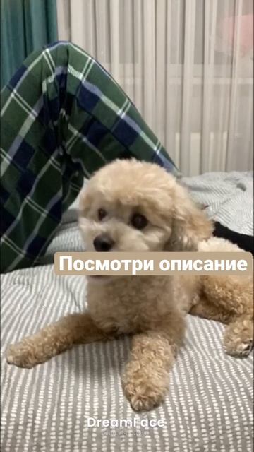 Ребята 🤩! Я сделала себе ногти а фотки есть в моем тг? смотреть онлайн