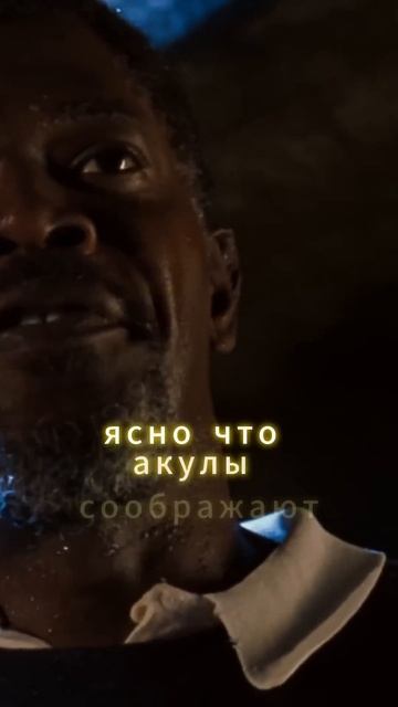 Учёные стали закуской для умных акул смотреть онлайн