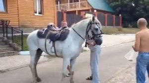 Мужик оседлал лошадь на скаку! Смотреть всем!!!