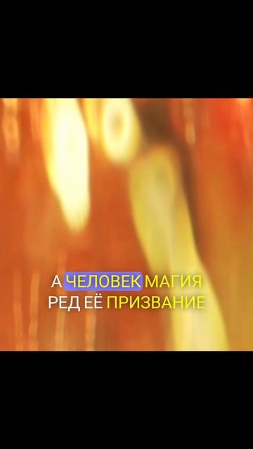 Дочь для волка #книжныерекомендации #booktok