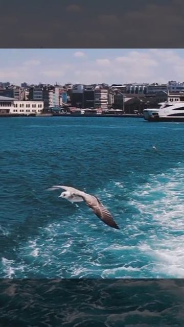 ⚡️Горящие туры в Турцию из Москвы на 10 ночей от 27.200 ру смотреть онлайн