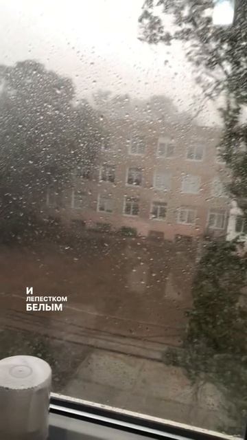 Хочется быть к тебе ближе🫶 смотреть онлайн