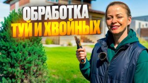 Весенняя обработка туй и хвойных от вредителей и болезней ☀️🚀🔥