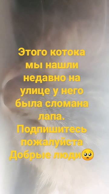 надеюсь есть добрые люди❤️🥰 смотреть онлайн