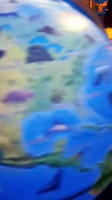 даже на глобусе есть ананас 🍍 смотреть онлайн